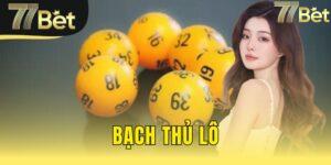 bạch thủ lô